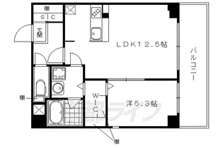 グランデュア京 東一条【503号室】の間取り