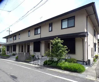 レジーナフィオレンツァの画像