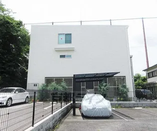 ローレルの画像