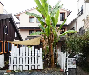 ゼラフシャンの画像