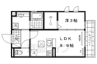 「カーサ金森」【2階】の間取り