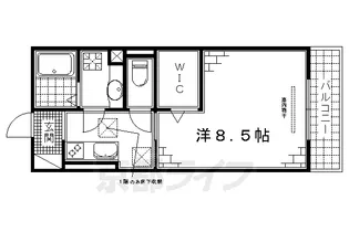 リヴィエール【305号室】の間取り