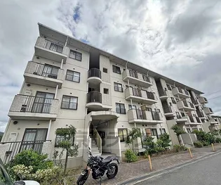 ヴィラ ピーシスの画像