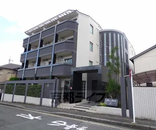 ペラパラスVの画像