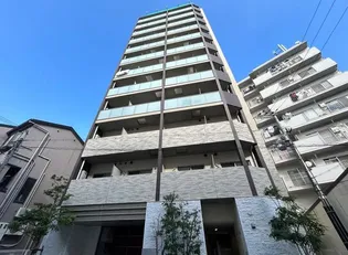 スプランディッドキャトルの画像