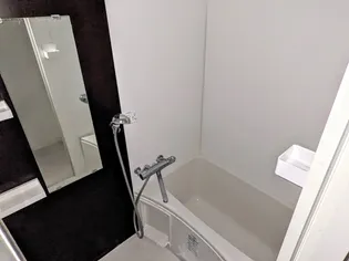 セオリー大阪ベイステージ【8階】の風呂