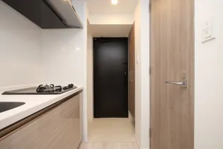 S-RESIDENCE難波大国町domina【7階】の玄関