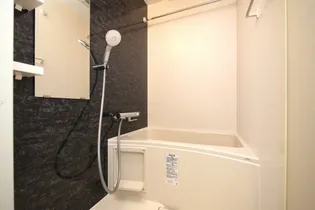 S-RESIDENCE難波大国町domina【7階】の風呂