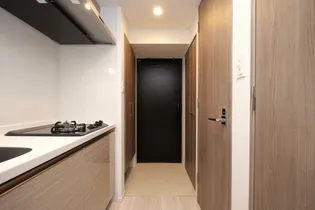 S-RESIDENCE難波大国町domina【8階】の玄関