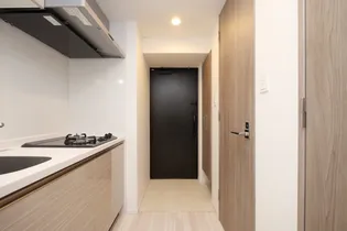 S-RESIDENCE難波大国町domina【3階】の玄関