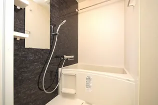 S-RESIDENCE難波大国町domina【3階】の風呂