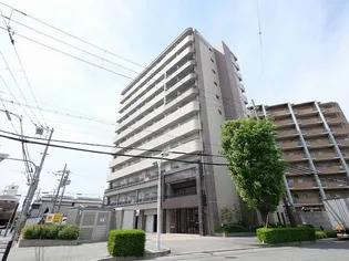 スプランディッドⅠの画像