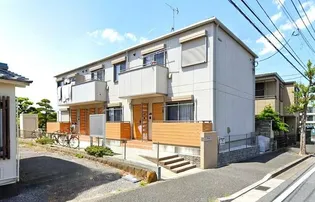 フェリシティの画像