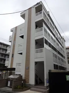 リモーネVIIIの画像