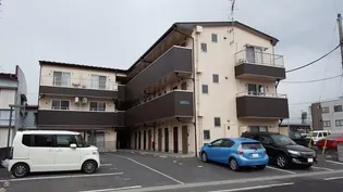 アイリッシュコートの画像