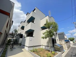 スコールの画像