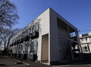 アムールSの画像