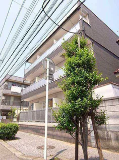 リブリ ウィステリアの画像