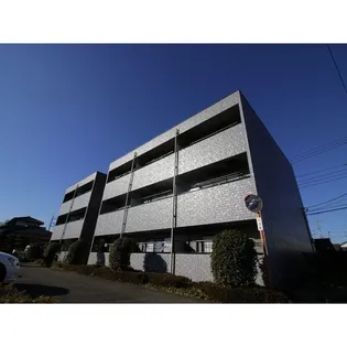 アムール古里の画像