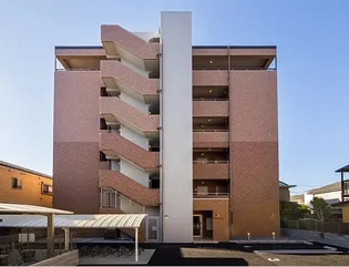 STELLA LUCEの画像