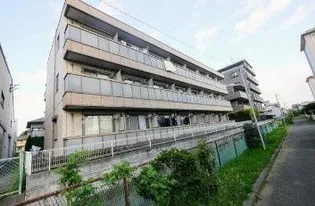 ファインコートの画像