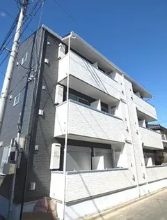 サウステラス蕨の画像