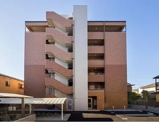 STELLA LUCEの画像