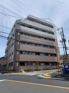 グレイス平井の画像