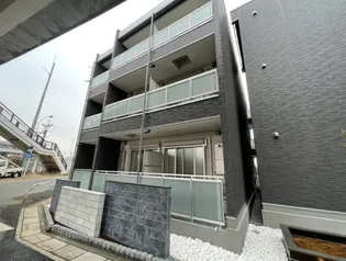 ホワイトオーキッドの画像