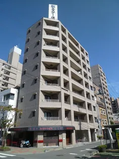 SKコートVの画像