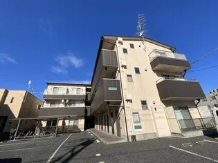 アイリッシュコートの画像