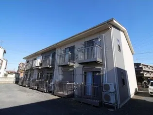 アムールラペの画像