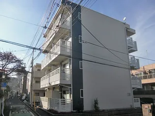 レオネクストフェリスの画像