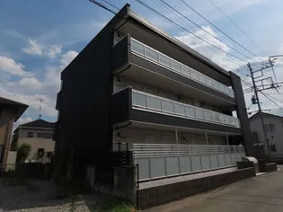 リブリ チェリーの画像