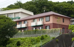 コスモビューの画像