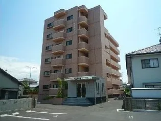 ファインコートの画像