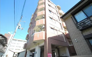 パミドールの画像