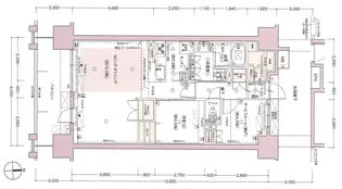 レーベン松山一番町 THE TOWER【1103号室】の間取り