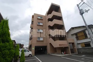 第89杉フラットYUUの画像