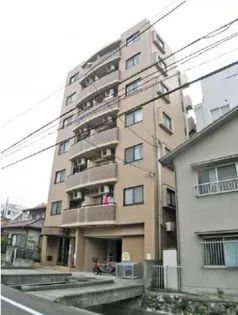 ノエル ドゥ フランドールの画像