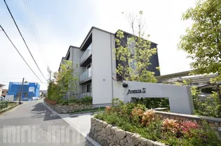 アランチアSの画像