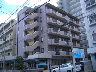 アメニエス萱町【501号室】の外観