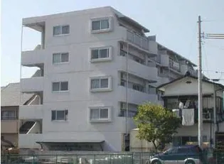 第70杉フラットの画像