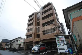 ベッセル束本の画像