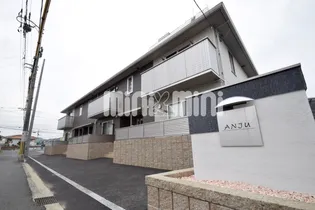 ANJUの画像