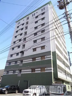 MINT ELVITAの画像