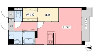 ヴィゴーレ道後【2階】の間取り