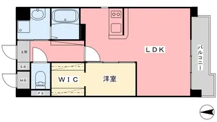 ヴィゴーレ道後【6階】の間取り
