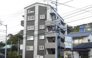 LINO TAKANOKOの画像