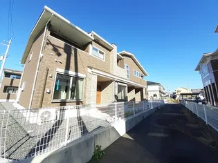 セントポーリア 1の画像